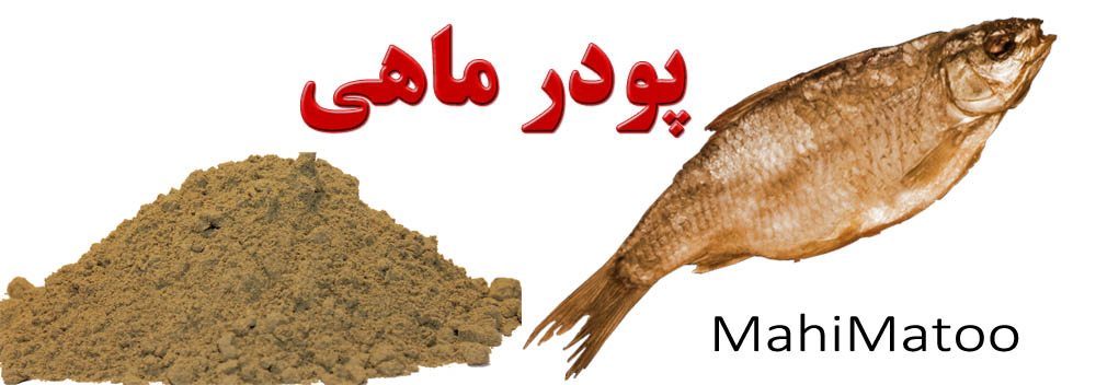 فروش ویژه پودر ماهی غنی ترین منبع تامین پروتئین