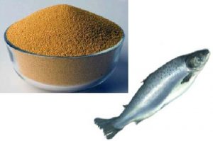 تولید کننده انواع پودر ماهی